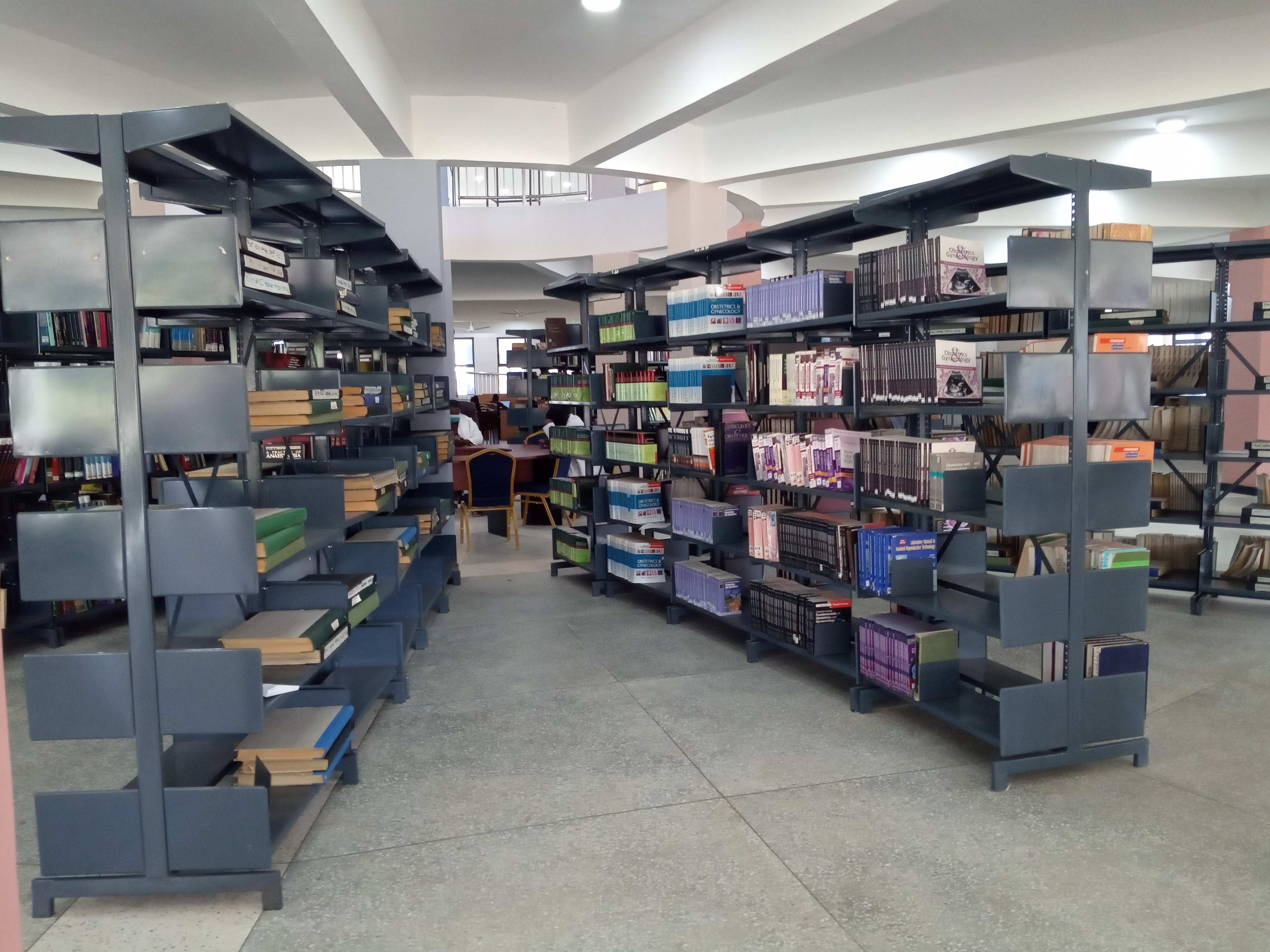 Library Book Collection